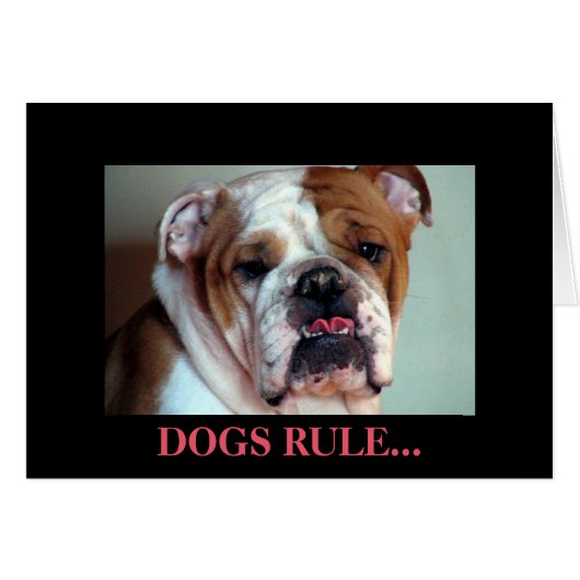 Dogs rule. cards (Front Horizontal)