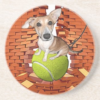 Dogs Rule Sandstone Coaster by images2go at Zazzle