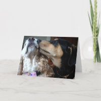 DOGS SAY TRUE LOVE-ALL YOU NEED-HAPPY ANNIVERSARY
