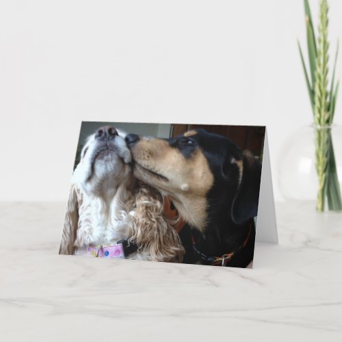 DOGS SAY TRUE LOVE_ALL YOU NEED_HAPPY ANNIVERSARY CARD