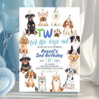 Dogs Second Birthday Invitation