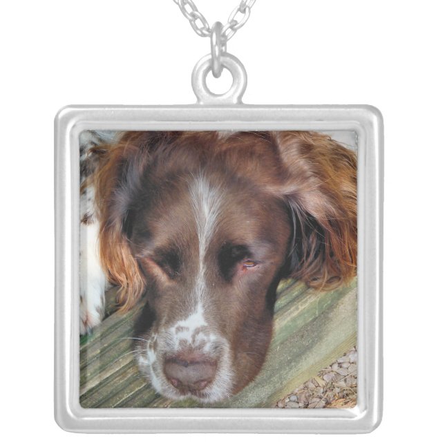 DOGS SILVER PLATED NECKLACE (Front)