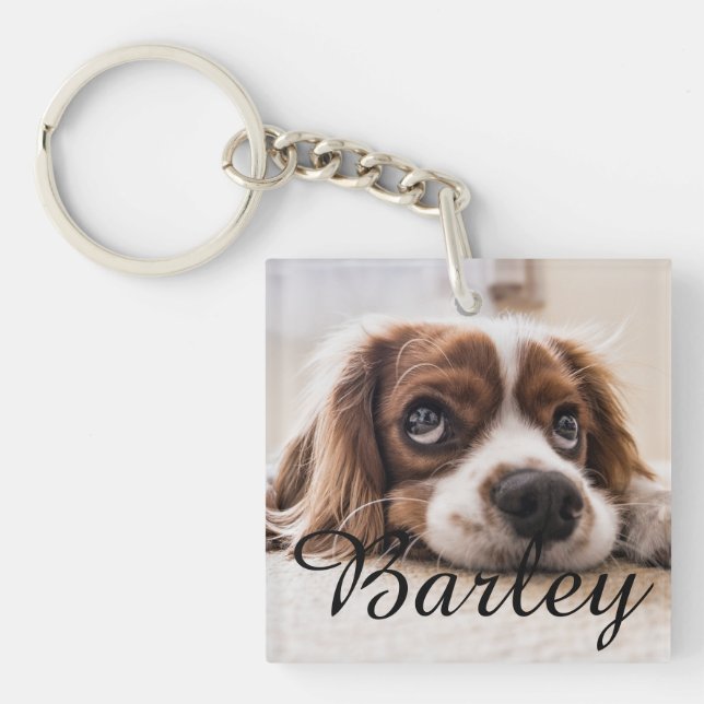 Dog's Simple Modern Elegant Chic Name and Photo  Keychain (Front)