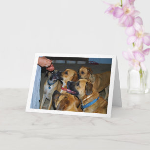 Dogs Sitting for Food Portrait Card