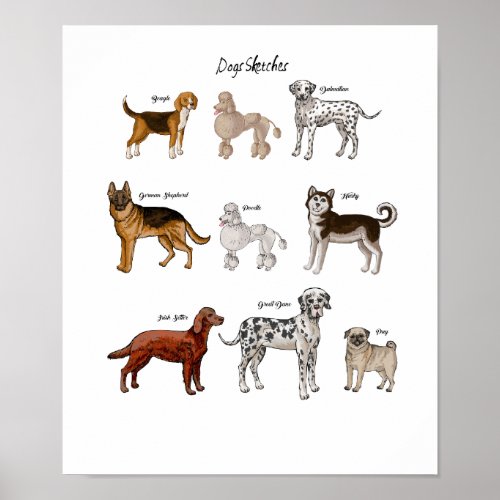 Dogs Sketches Poster