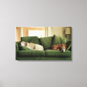 Dogs sleeping on sofa canvas print