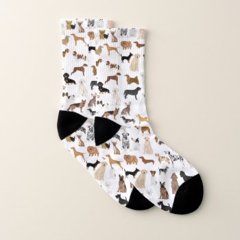 Dogs Socks by FriendlyPets at Zazzle