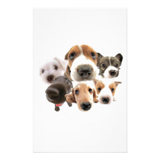 Dog Stationery | Zazzle