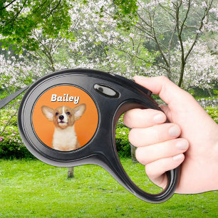 Dog's Studio Photo Retractable Pet Leash