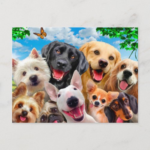 Dogs take group selfie postcard