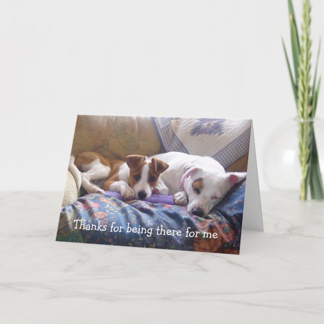 Dogs Thanks for being there Thank You Card (Front)