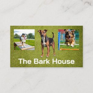Dogs Training Business Card