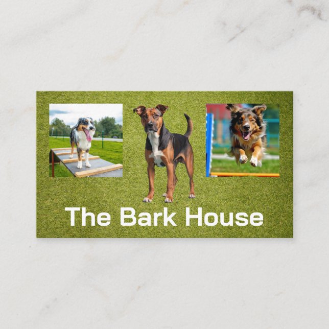 Dogs Training Business Card (Front)