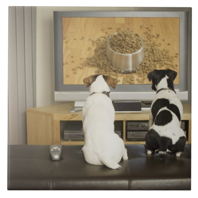 Dogs watching dog dish with food on TV Tile (Front)