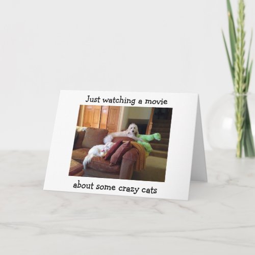 DOGS WATCHING MOVIE ABOUT CRAZY CATS_BIRTHDAY CARD