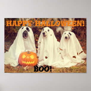 DOGS WEARING GHOST COSTUMES HALLOWEEN POSTER