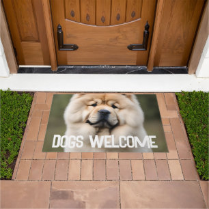 Dogs Welcome Doormat