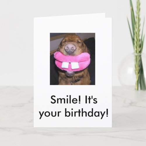 dogsmile Smile Its your birthday Card