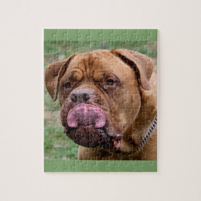 Dogue de Bordeaux 8x10 photo puzzle (Vertical)