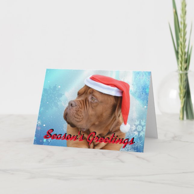 Dogue de Bordeaux Christmas card (Front)