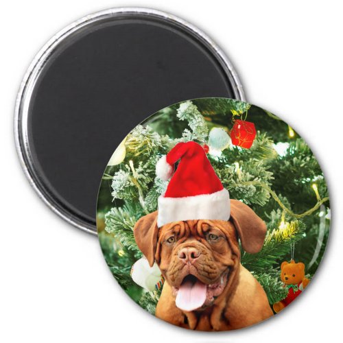 Dogue de Bordeaux Christmas Tree Snowman Gift Box Magnet