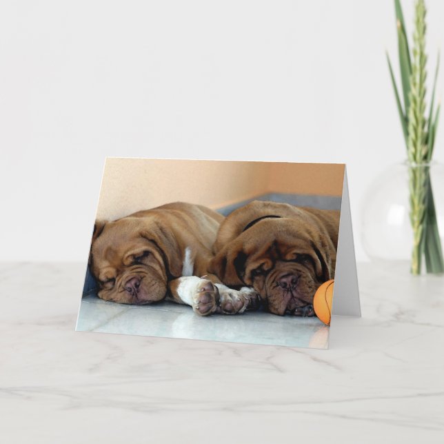 Dogue De Bordeaux Dog Blank Greeting Card (Front)