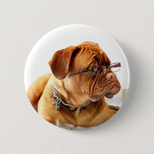 dogue de bordeaux dog wearing glasses button (Front)