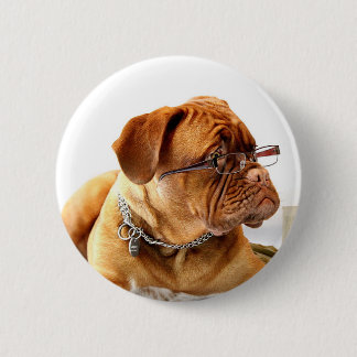dogue de bordeaux dog wearing glasses button