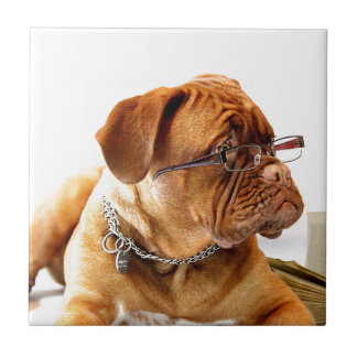 dogue de bordeaux dog wearing glasses tile