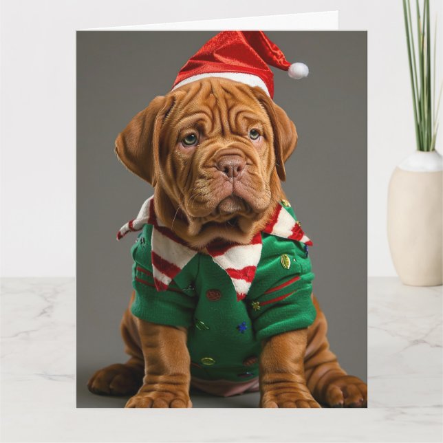 Dogue de Bordeaux Elf Puppy Christmas Card  (Front)
