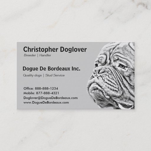 Customizable Dogue De Bordeaux - French Mastiff Business Cards