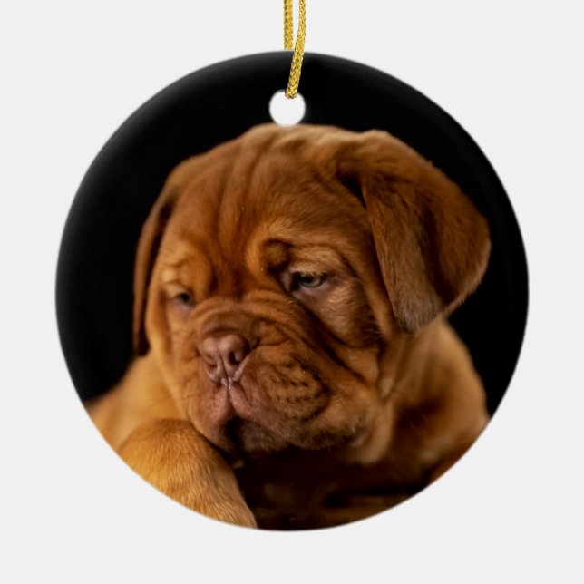 Dogue de Bordeaux - French Mastiff Ceramic Ornament (Front)