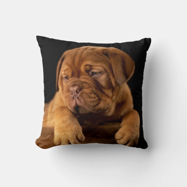 Dogue de Bordeaux - French Mastiff Puppy Dog Throw Pillow (Front)