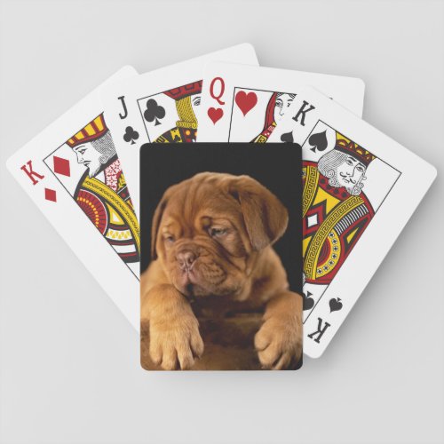 Dogue de Bordeaux _ French Mastiff Puppy Poker Cards