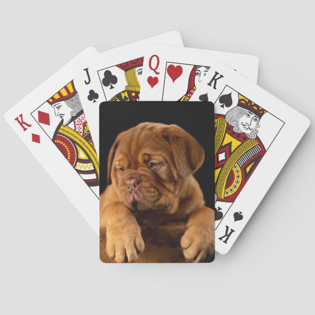 Dogue de Bordeaux - French Mastiff Puppy Poker Cards (Back)