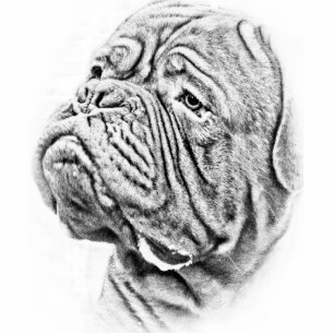 Dogue De Bordeaux - French Mastiff Statuette
