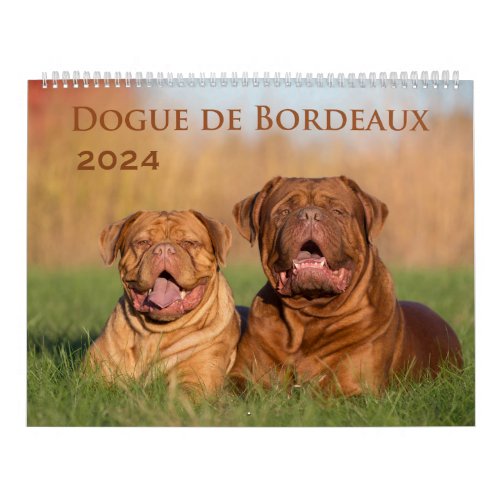 Dogue de Bordeaux Large Wall Calendar