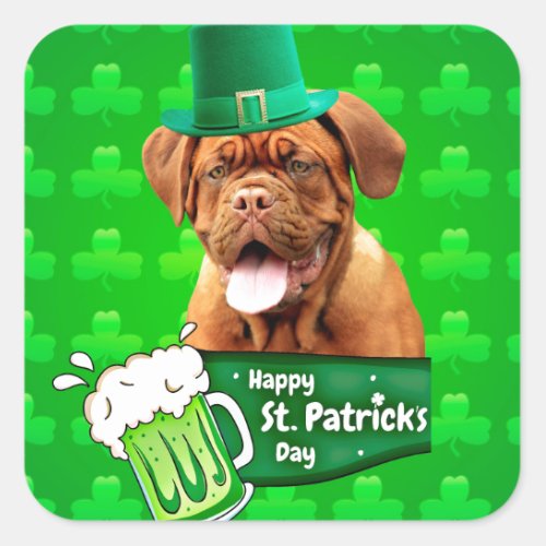 Dogue De Bordeaux Mastiff St Patricks Day Square Sticker
