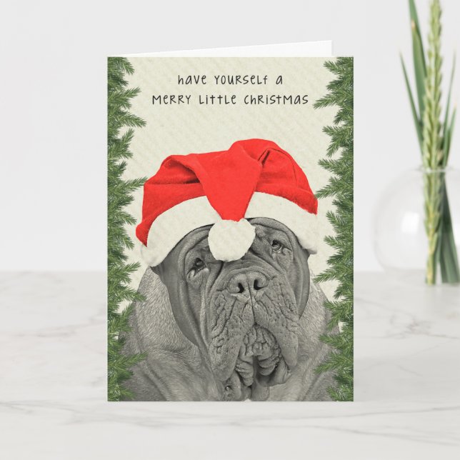 Dogue de Bordeaux Merry Little Christmas Holiday Card (Front)