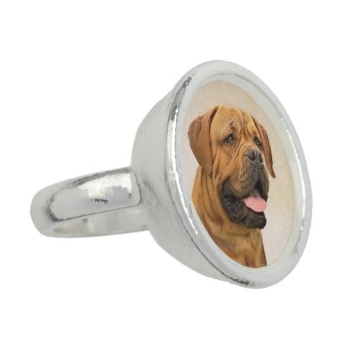 Dogue de Bordeaux Painting _ Cute Original Dog Art Ring