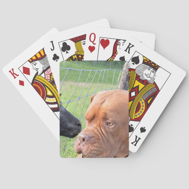 Dogue de Bordeaux Poker Cards (Back)