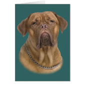 Dogue De Bordeaux Portait (Front)