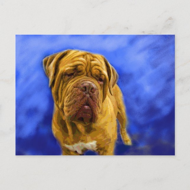 Dogue de Bordeaux Postcards (Front)