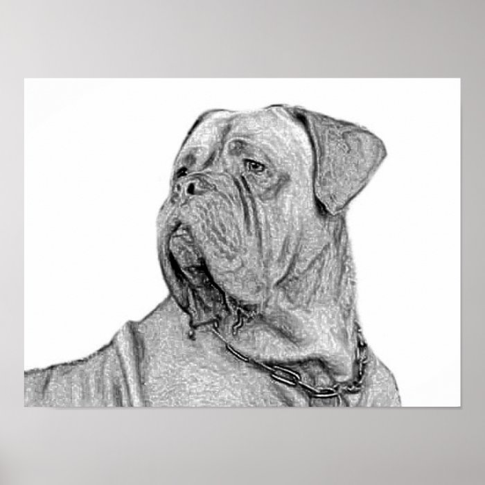 Dogue de Bordeaux poster