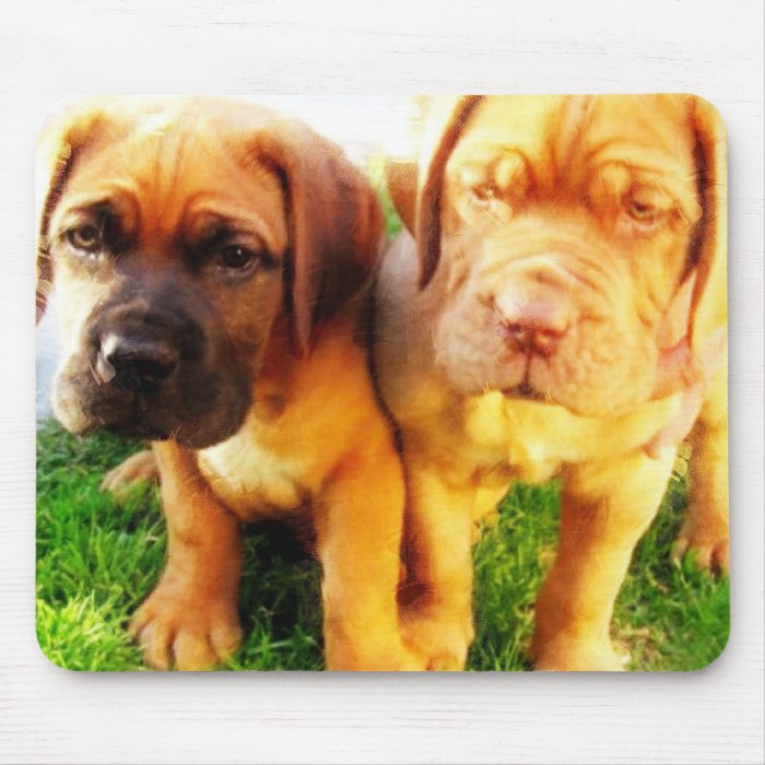 Dogue de Bordeaux puppies mousepad