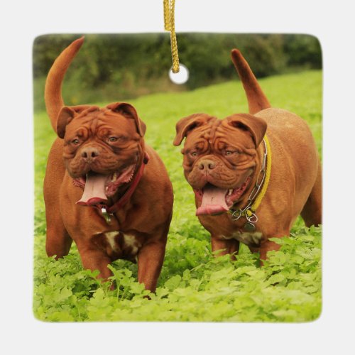 Dogue De Bordeaux Puppy Dogs in the grass Ceramic Ornament