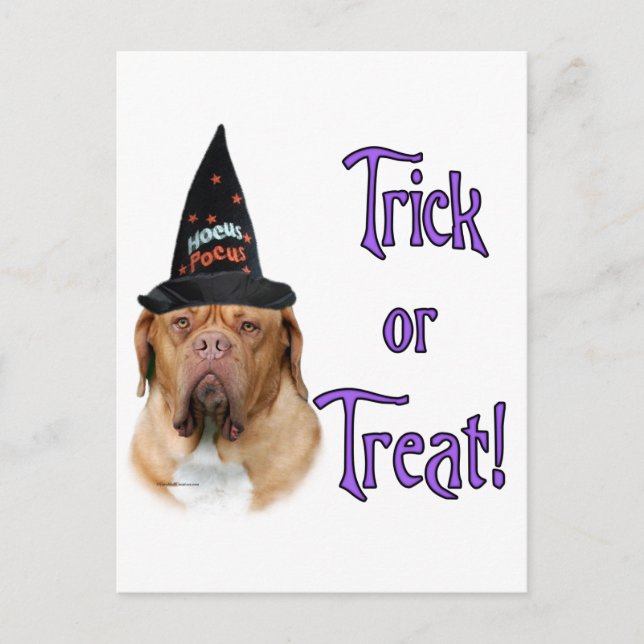Dogue de Bordeaux Trick Postcard (Front)