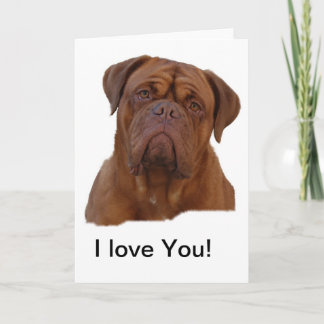 Dogue De Bourdeaux, French mastiff Card