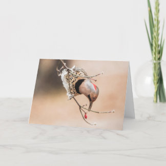 Dogwood Berry Breakfast Card