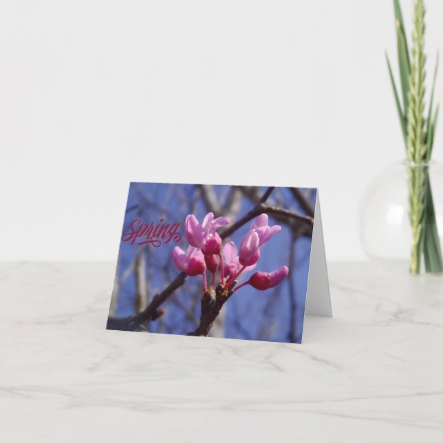 Dogwood Blossom Blank Greeting Card (Front)